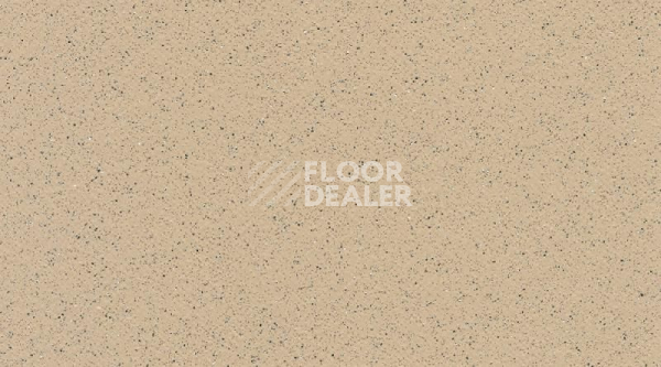 Линолеум Gerflor Tarasafe Standard 7312_Dune фото 1 | FLOORDEALER