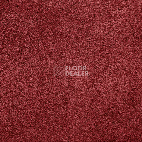 Ковролин AW Silk 19 фото 1 | FLOORDEALER