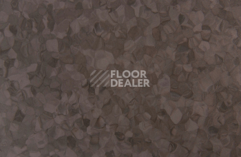 Tarkett iq Melodia 2617 фото 3 | FLOORDEALER