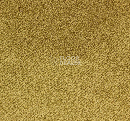 Ковролин Edel Ambition 146 фото 1 | FLOORDEALER