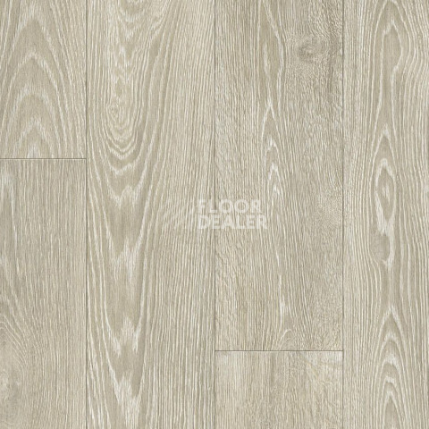 Линолеум Tarkett Philosophy BLANCH 2 фото 1 | FLOORDEALER