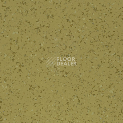 Линолеум DLV Flooring Perfect Safety 5657 фото 1 | FLOORDEALER