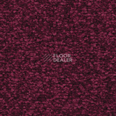 Ковролин Balsan First Class 580 фото 1 | FLOORDEALER