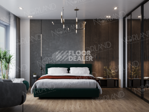 Norland Sigrid Superior 8мм Dor 1008-3 ABA фото 4 | FLOORDEALER