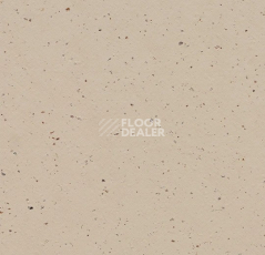 Линолеум Forbo Marmoleum Solid Cocoa 3590 meringue фото 1 | FLOORDEALER