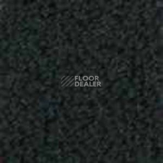 Ковролин Infloor Color 53 780 фото 1 | FLOORDEALER