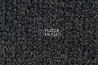 Balsan Les Best 993 фото 2 | FLOORDEALER