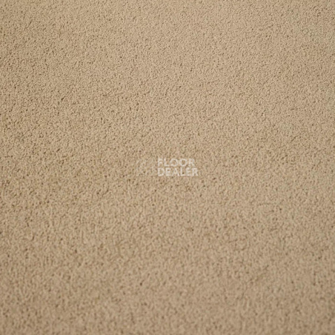 Haima Noble 41 фото 6 | FLOORDEALER