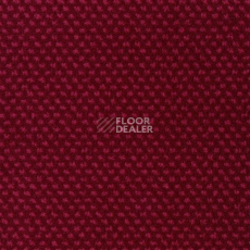 Ковролин Sintelon Podium 79413 фото 1 | FLOORDEALER