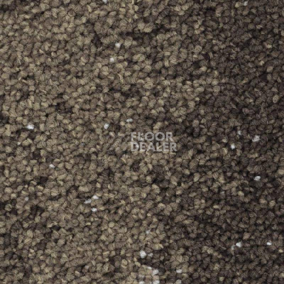 Ковровая плитка Balsan Nexus Link 775 фото 1 | FLOORDEALER