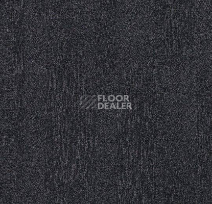Ковровая плитка Forbo Flotex Colour Penang 50*50 t 382001 Penang Anthracite фото 1 | FLOORDEALER