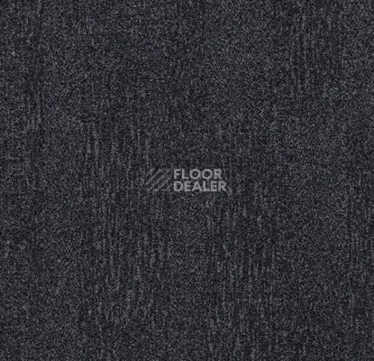 Ковровая плитка Forbo Flotex Colour Penang 50*50 t 382001 Penang Anthracite фото 1 | FLOORDEALER
