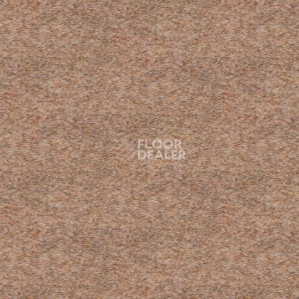 Ковролин Tapibel Spirit 8896 фото 1 | FLOORDEALER