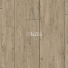 Kronotex Exquisit Plus d1203 Synchro Chestnut фото 5 | FLOORDEALER