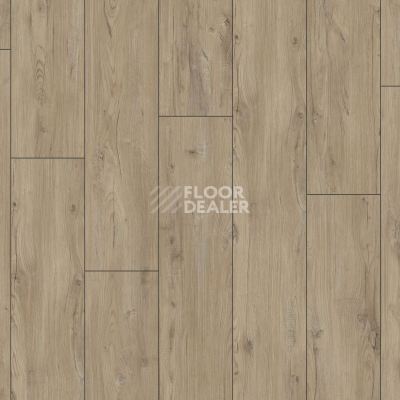 Ламинат Kronotex Exquisit Plus d1203 Synchro Chestnut фото 5 | FLOORDEALER