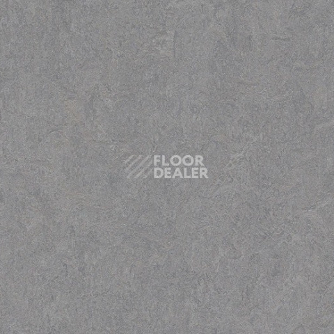 Линолеум Forbo Marmoleum Decibel 386635 eternity фото 1 | FLOORDEALER