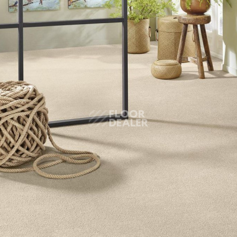 Vorwerk Superior 1065/Viola Vorwerk 6c72 фото 2 | FLOORDEALER