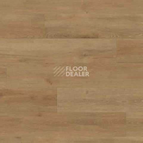 Ламинат Haro Tritty 200 Aqua 4V ДУБ ВЕНЕТО НАТУР 540246 фото 1 | FLOORDEALER