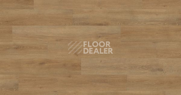 Ламинат Haro Tritty 200 Aqua 4V ДУБ ВЕНЕТО НАТУР 540246 фото 1 | FLOORDEALER