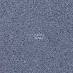 Ковролин Radici Montecarlo 29 фото 1 | FLOORDEALER