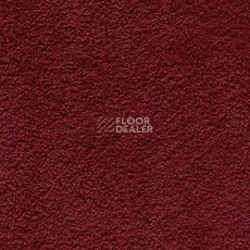 Ковролин AW Softissimo 19 фото 1 | FLOORDEALER