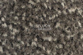 Forbo Coral Classic 4764 Taupe фото 2 | FLOORDEALER