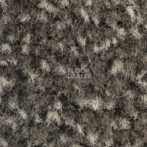 Forbo Coral Classic 4764 Taupe фото 2 | FLOORDEALER