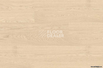 Wood OAK CREME фото 4 | FLOORDEALER