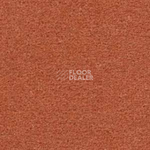 Ковролин Radici Montecarlo 59 фото 1 | FLOORDEALER