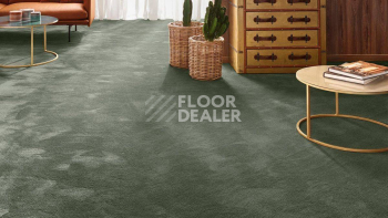 Vorwerk Exclusive 1060 Safira 4g68 фото 2 | FLOORDEALER