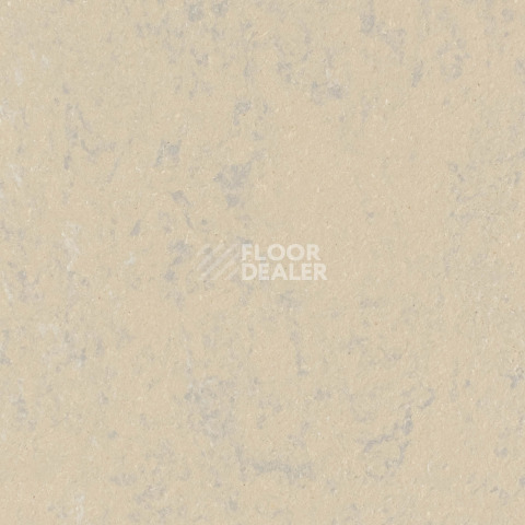 Линолеум Forbo Marmoleum Solid Concrete 3727-372735 drift фото 1 | FLOORDEALER