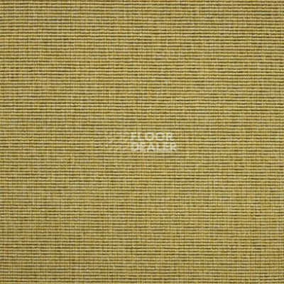 Ковролин Carpet Concept Eco 1 6621 фото 1 | FLOORDEALER