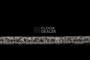IVC Alternate 979 фото 4 | FLOORDEALER