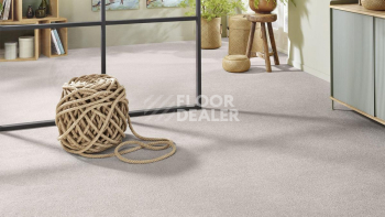 Vorwerk Superior 1065/Viola Vorwerk 5x93 фото 2 | FLOORDEALER