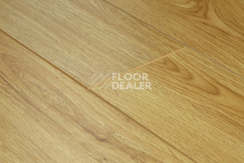 Ламинат Biela Cbm Silence 10мм 716-10 Классический Дуб фото 1 | FLOORDEALER