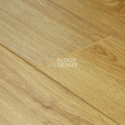 Ламинат Biela Cbm Silence 10мм 716-10 Классический Дуб фото 1 | FLOORDEALER