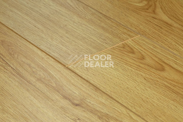 Ламинат Biela Cbm Silence 10мм 716-10 Классический Дуб фото 1 | FLOORDEALER
