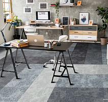 InnovFlor Galaxy F