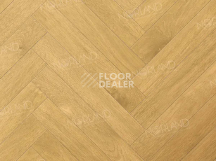 Norland Herringbone Elegant Strong 12мм LF304-12 Дуб Мальта фото 7 | FLOORDEALER
