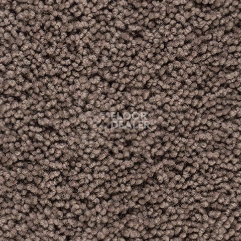 Ковролин Best Wool Pure Palace Lux 189 фото 1 | FLOORDEALER