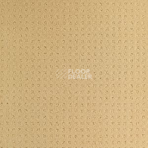 Ковролин Balsan Territoires Atrium 311 фото 1 | FLOORDEALER