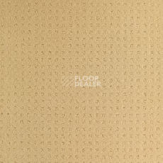Ковролин Balsan Territoires Atrium 311 фото 1 | FLOORDEALER