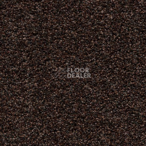 Грязезащитные покрытия Forbo Coral Bright 2606 Fine Peat фото 1 | FLOORDEALER