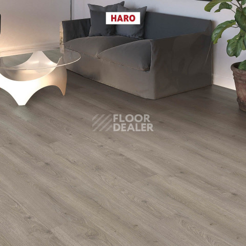 Haro Tritty 100 4V Дуб Флавия Серый 544702 фото 3 | FLOORDEALER