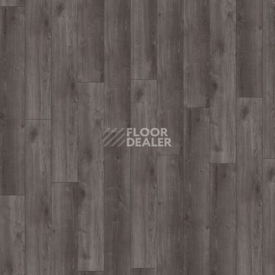 Ламинат Kronotex Exquisit 8мм d6017 Дуб Кашмир Чёрный фото 3 | FLOORDEALER