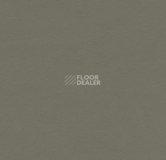 Линолеум Forbo Marmoleum Solid Walton 3375 grey adobe фото 1 | FLOORDEALER