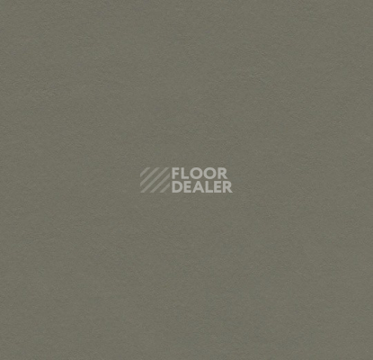 Линолеум Forbo Marmoleum Solid Walton 3375 grey adobe фото 1 | FLOORDEALER
