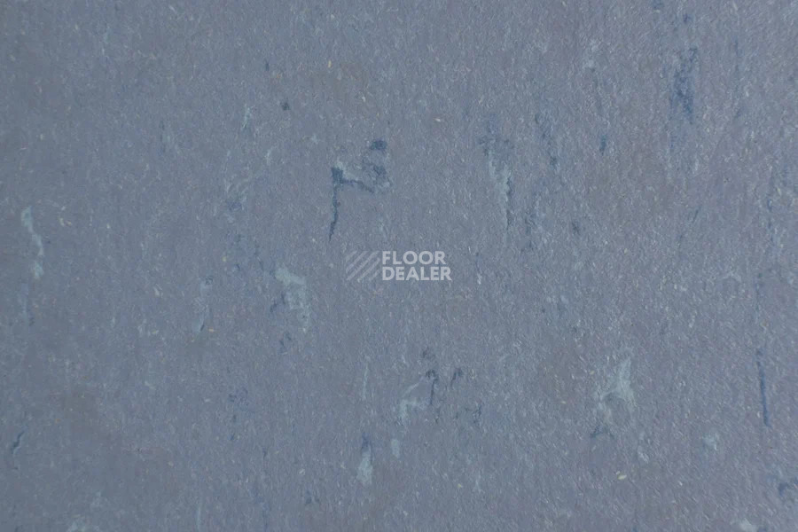 Forbo Marmoleum Solid Piano 3642-364235 periwinkle фото 2 | FLOORDEALER