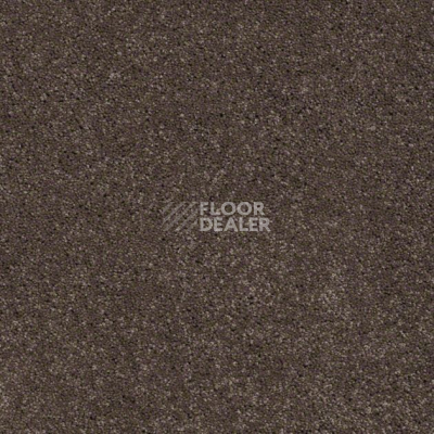 Ковролин Shaw Design Texture Platinum 723 фото 1 | FLOORDEALER