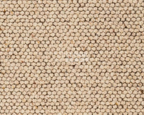 Ковролин Best Wool Nature Dublin 111 фото 1 | FLOORDEALER